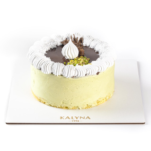 Торт морозиво фісташка-малина в шоколадному оформленні